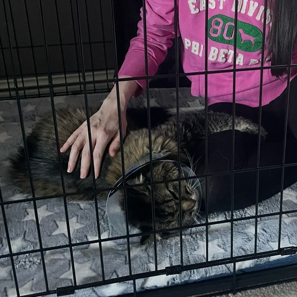 EUC Black Dress by NBD - Picture 6 of 11